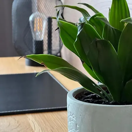 Modernes, Mediales Apartment, Naehe Der Neuen Leipziger Messe, Bis Vier Personen Apartmán Lipsko