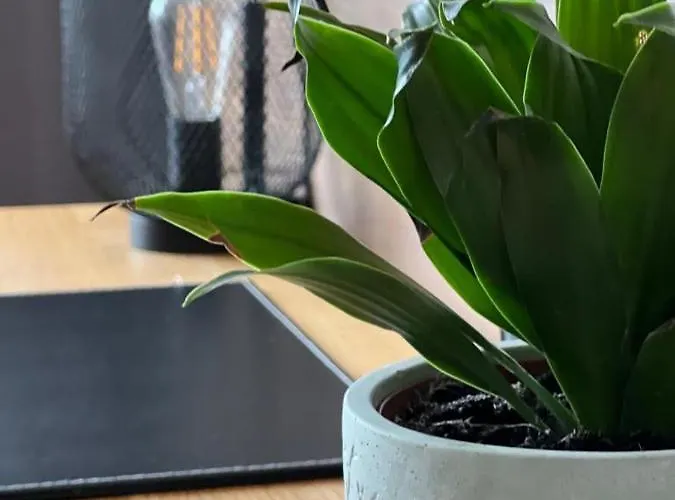 Modernes, Mediales Apartment, Naehe Der Neuen Leipziger Messe, Bis Vier Personen Апартаменты Лейпциг